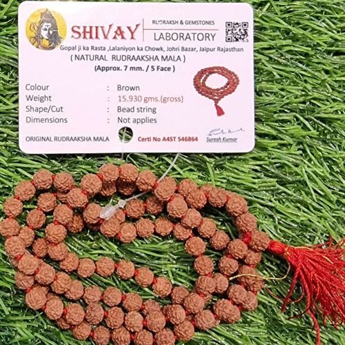 5 Face Rudrakash Mala 7MM 108 Beads