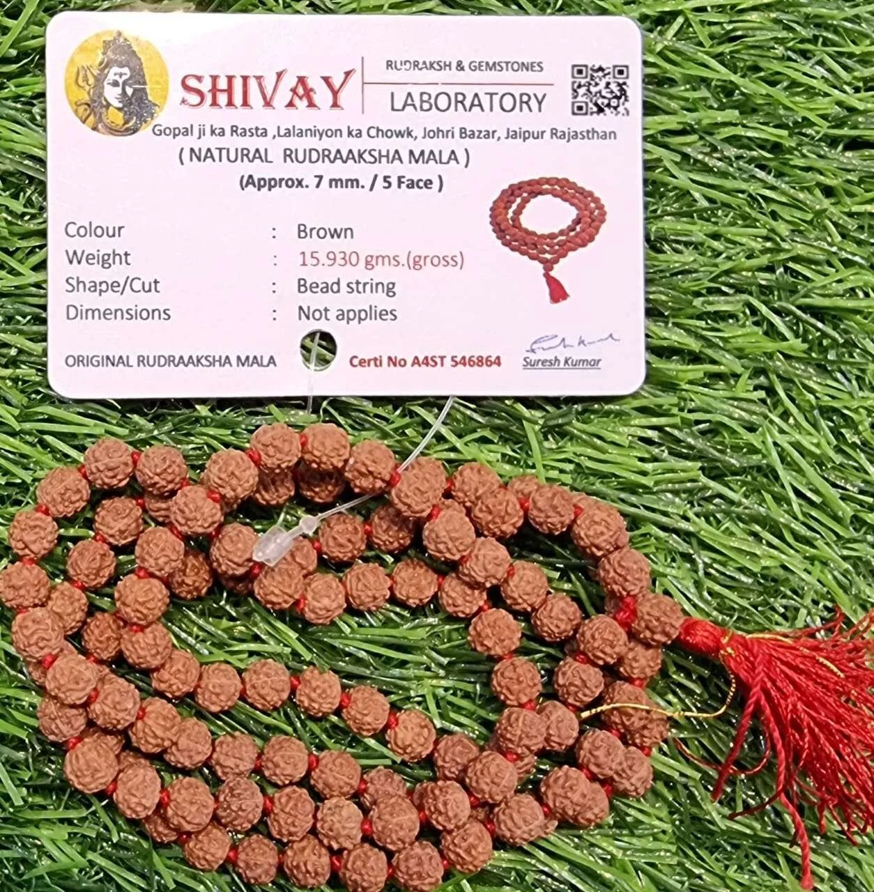 5 Face Rudrakash Mala 7MM 108 Beads