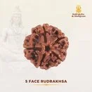 Rudrakash