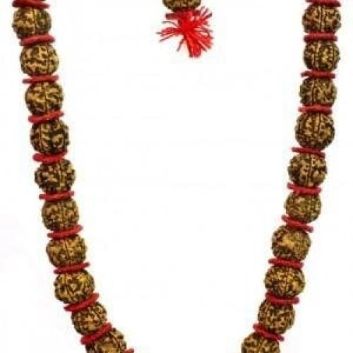 5 Face Big Rudraksh 54 Beads Mala