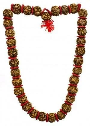 5 Face Big Rudraksh 54 Beads Mala