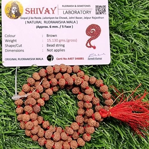 5 Face Rudrakash Mala 6MM 108 Beads