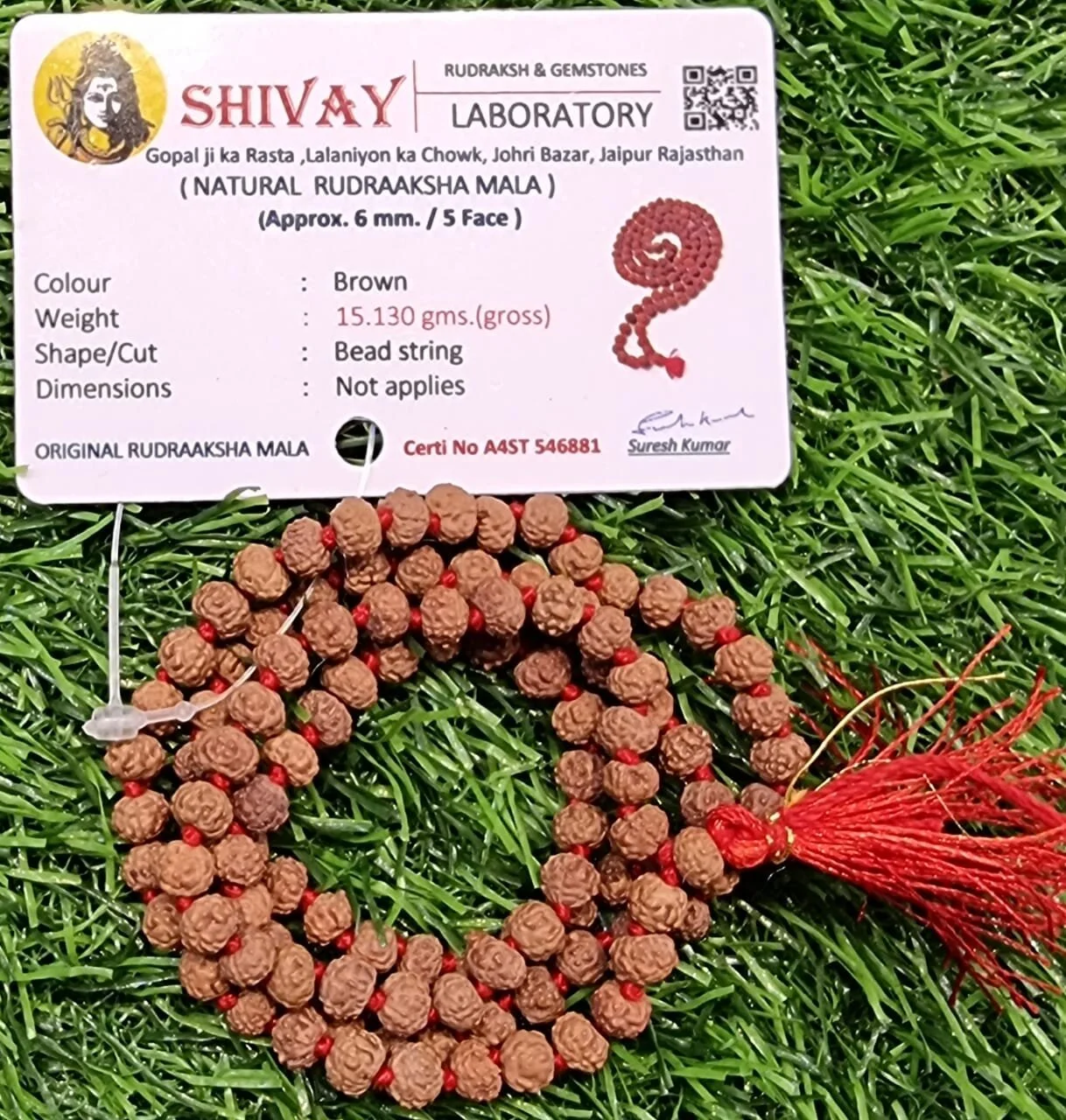 5 Face Rudrakash Mala 6MM 108 Beads