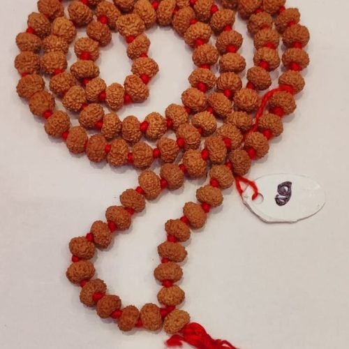 9 Face Rudrakash Mala 108 Beads