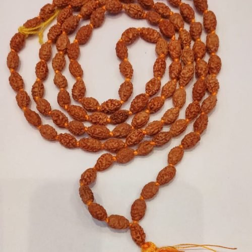 2 Face Rudrakash Mala 108 Beads