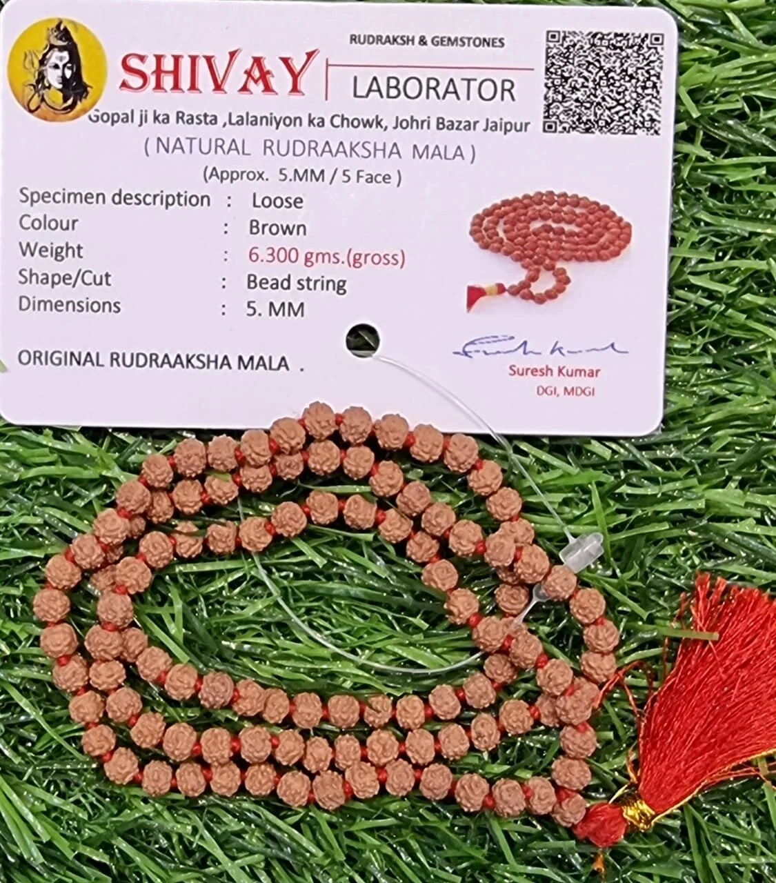 5 Face Rudrakash Mala 5MM 108 Beads