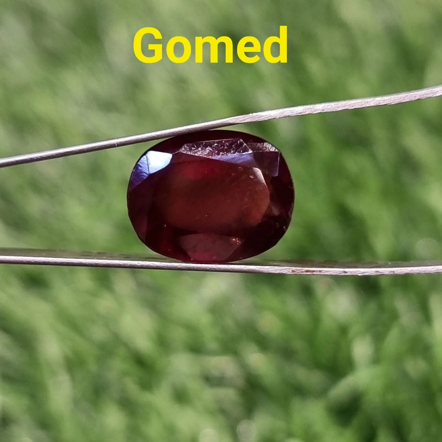 Gomed-Hessonite-7 Ratti