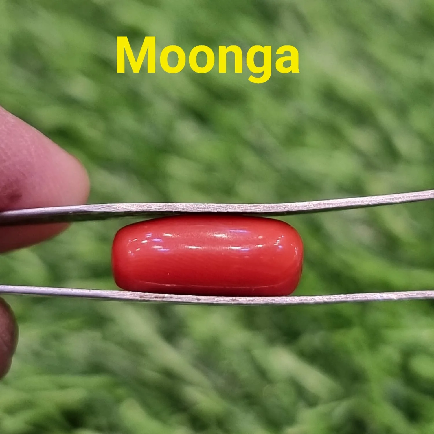 Moonga-Coral 7 Ratti