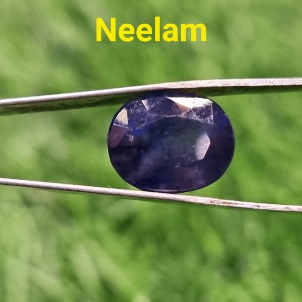 neelam