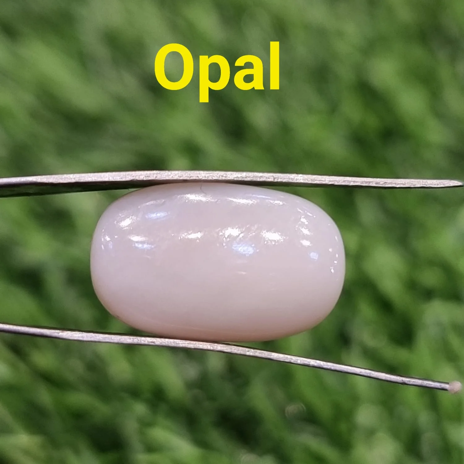 Opel-Shukra Stone- 7 Ratti